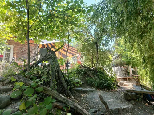 photo_2022-07-28_18-19-36