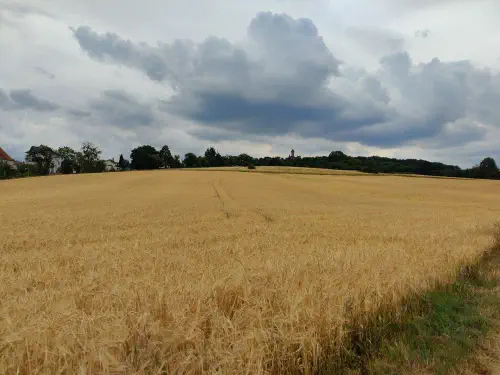 photo_2022-07-13_12-34-32--2-