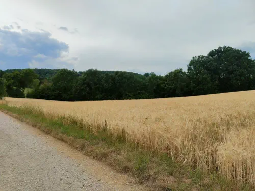 photo_2022-07-13_12-34-33