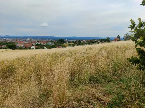 photo_2022-07-13_12-34-34--2-