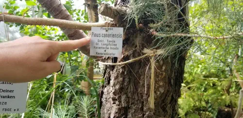 292400538_5041492135961672_4832716376012838993_n