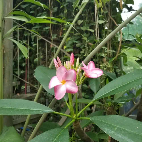 292409618_365689928850849_1332398293133750038_n