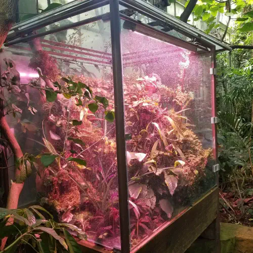 292419670_397525095774566_1944723345313548122_n