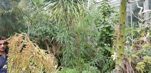 292829964_385446276906601_6383673166609154530_n