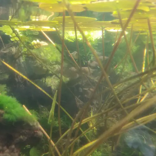 292888042_534667411674678_7367464985563435806_n