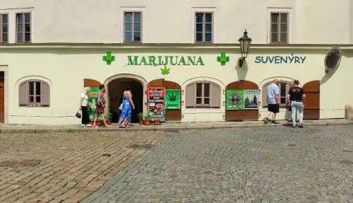 photo_2022-06-28_23-13-01