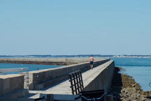 DSC09638-3